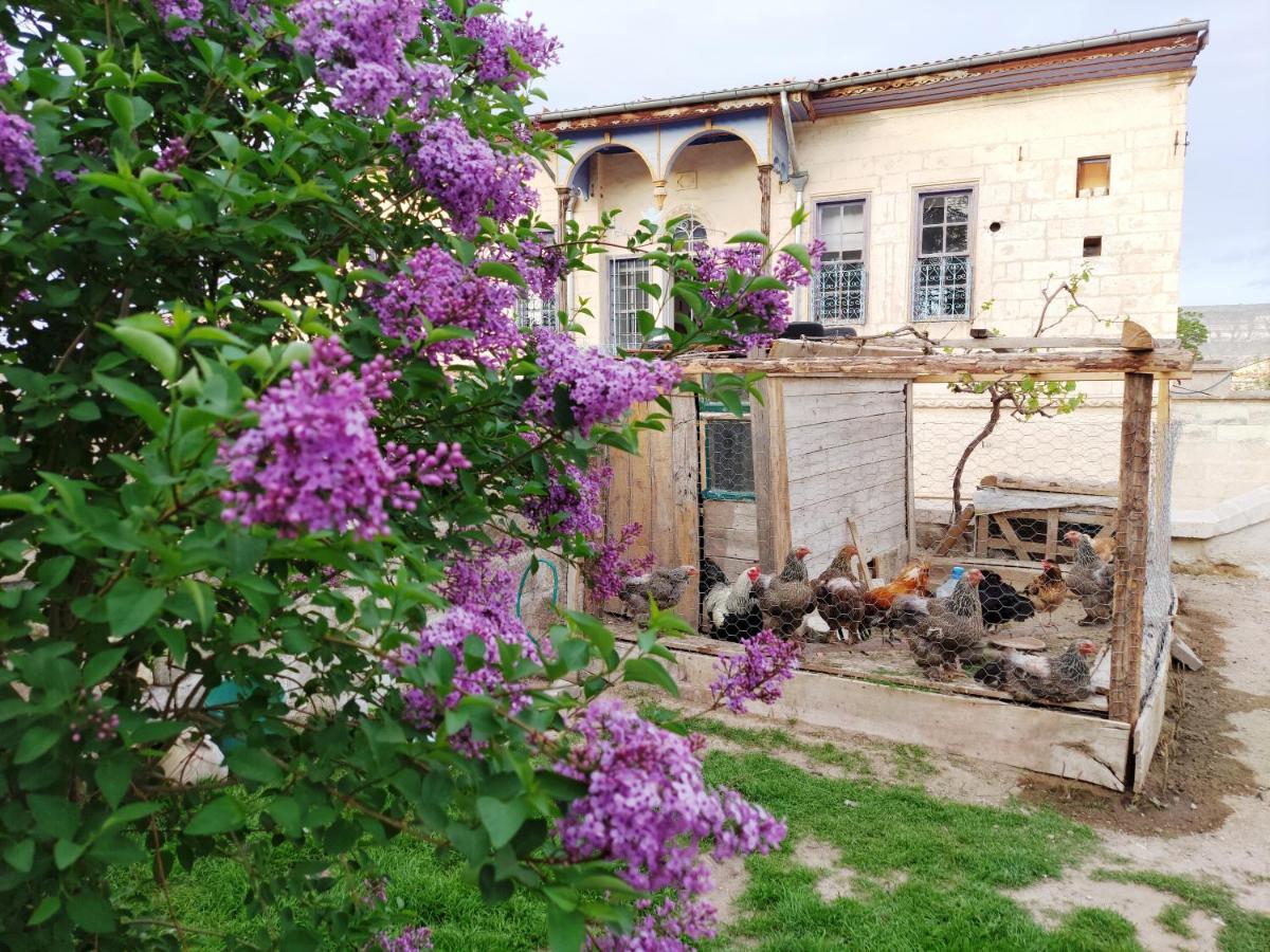 Armesos Cave Hotel Ürgüp Kültér fotó