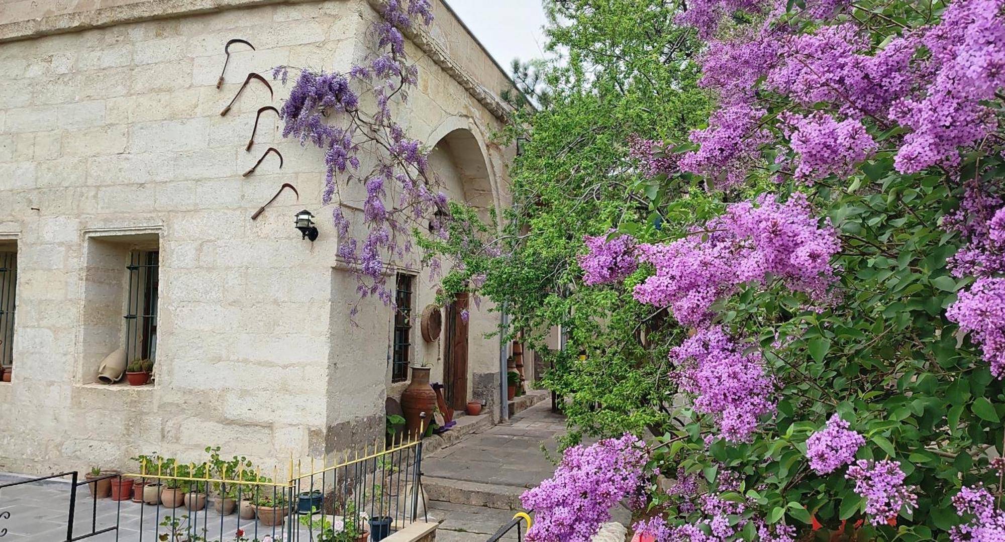 Armesos Cave Hotel Ürgüp Kültér fotó