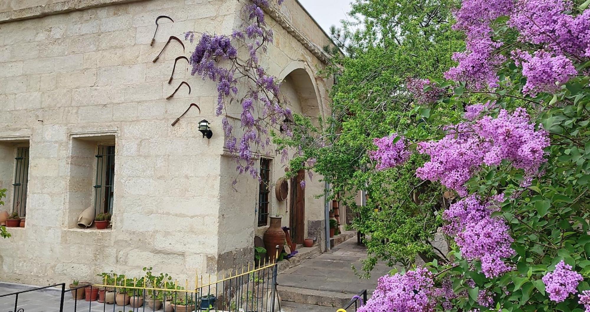 Armesos Cave Hotel Ürgüp Kültér fotó